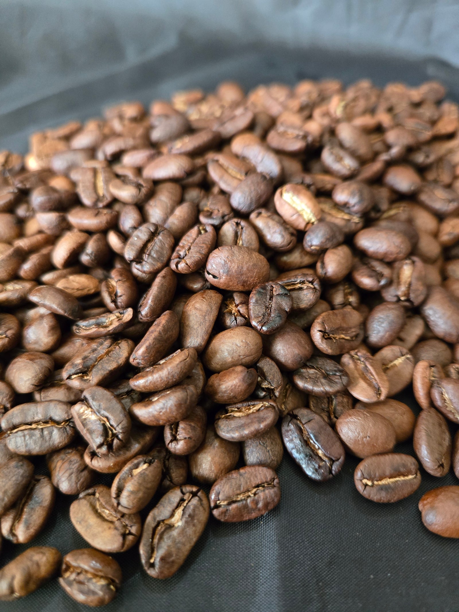 Organic single source coffee farm